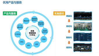 信息系統(tǒng)集成服務(wù)中APS實(shí)施的復(fù)雜性控制策略